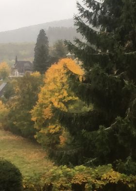 Autum in the Black Forest