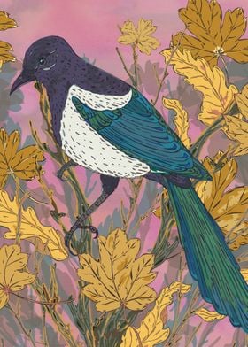 Magpie and Maple