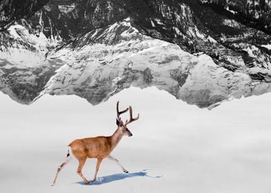 Deer in the Mountains 2
