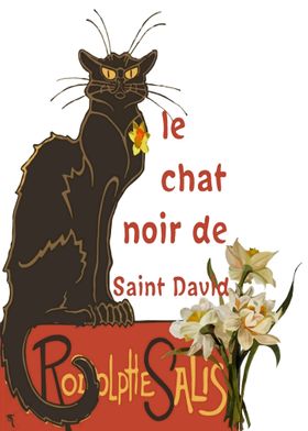 Le Chat Noir Saint David