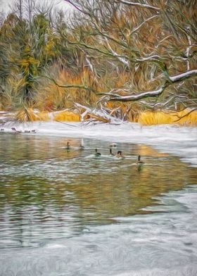 Frozen Duck Pond