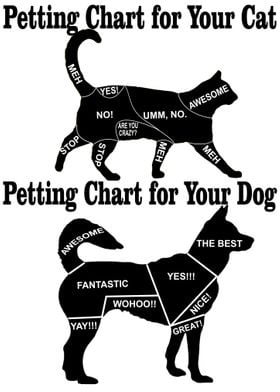 Petting Chart for Cat and 