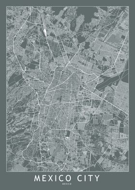 Mexico City Grey Map