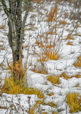 Tree and Grass in Winter