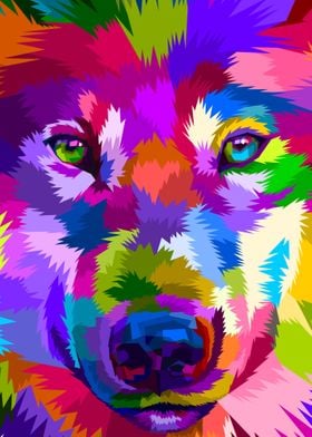 close up of colorful wolf