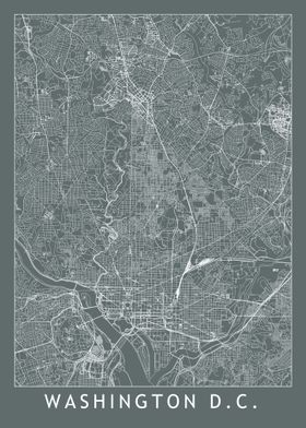Washington Grey Map