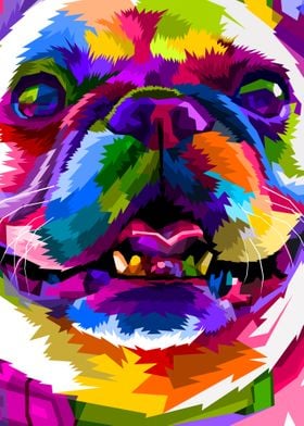 close up of cute bulldog