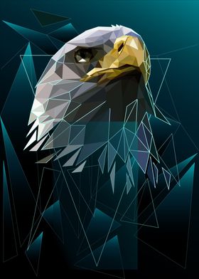 Eagle Head Gopmetric Art