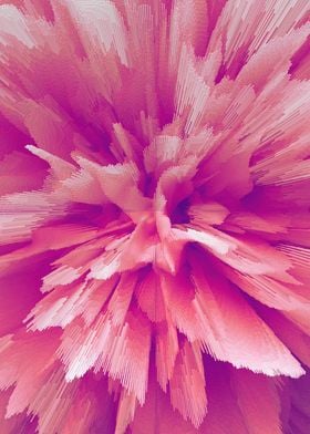 Photo Pink flowers peonies