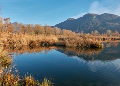 winter reflection on lake