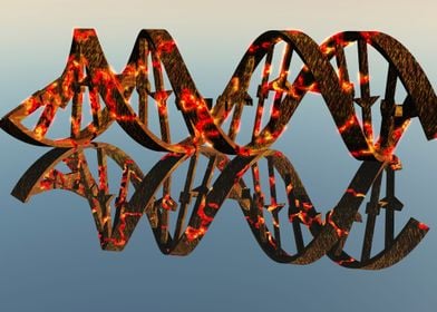 Damaged DNA Strands