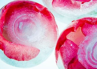 Roses in ice sphere 3