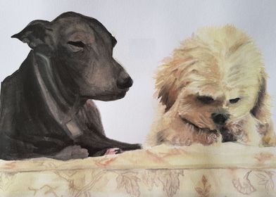 Adorable dogs painting