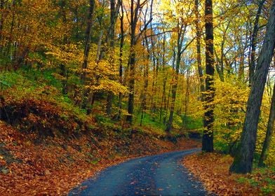 Autumn in Pennsylvania