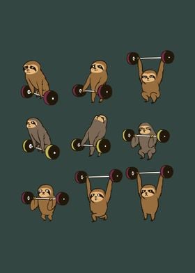 Olympic Lifting Sloth