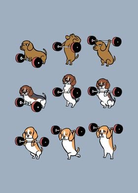 Olympic Lifting Beagle