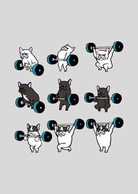 Olympic Lifting Frenchie