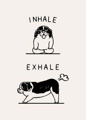 Inhale Exhale St Bernard