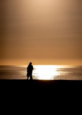 A Bronze Sunset