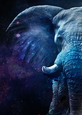 Galaxy Elephant Blue