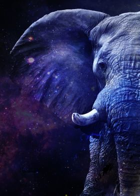 Galaxy Elephant Purple