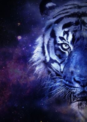 Galaxy Tiger Purple
