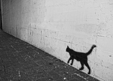 Graffiti Wall Cat Spray