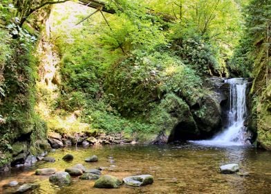 Forest Waterfall Nature