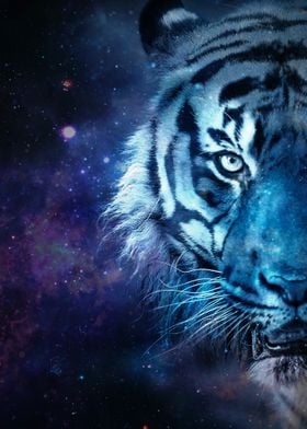 Galaxy Tiger Blue
