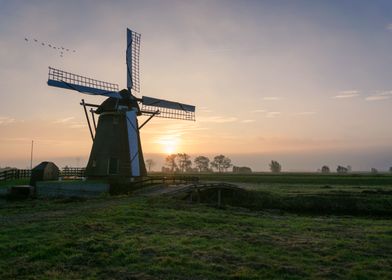 A typical Dutch Landscape