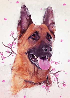 German Shepherd Dog Lovers