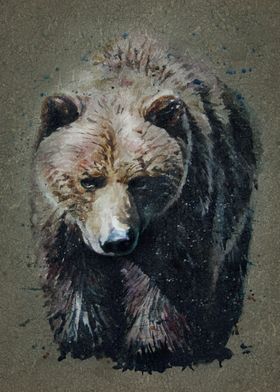 Bear background