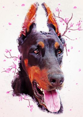 Dobermann