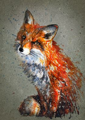 Fox background
