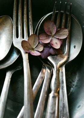 Vintage Spoons Botanical
