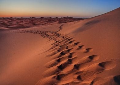Sahara desert Footprints 