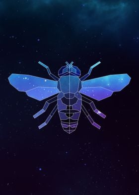 Galaxy Bee