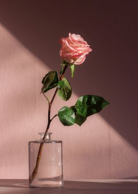 Pink Rose In Water Vase