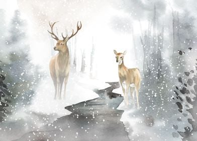 Pair Of Deer