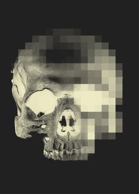 Digital Skull