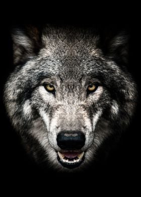 wild angry wolf head 