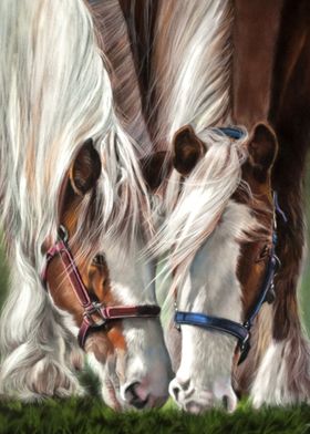 Two Horses Canvas