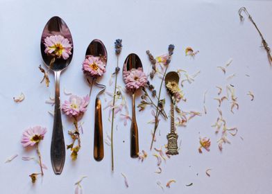Spoons family in spring 
