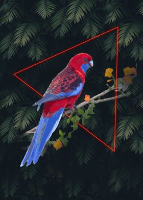 Neon Triangle Parrot