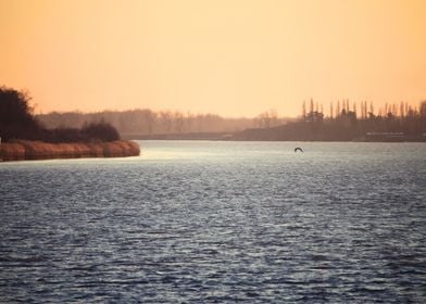 Calm river