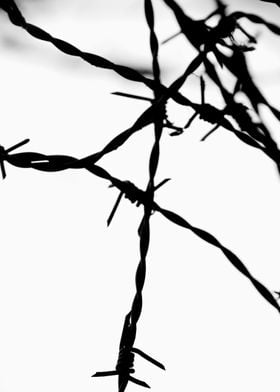 barbed wire