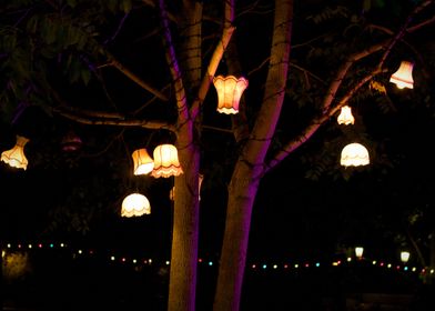 Lamps in a tree