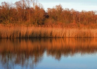 Reflection in lake