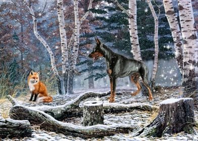 Doberman and fox