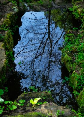 Pool reflections